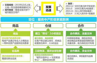2016中国生鲜电商行业报告 易果生鲜异军突起的担保模式与市场影响
